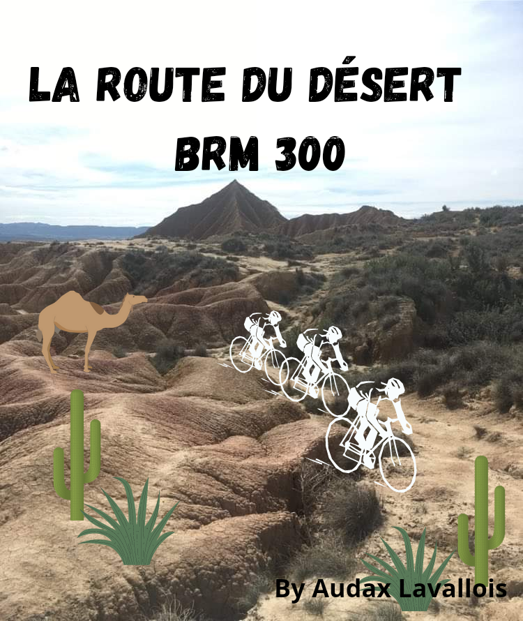 BRM 300 – LA ROUTE DU DÉSERT