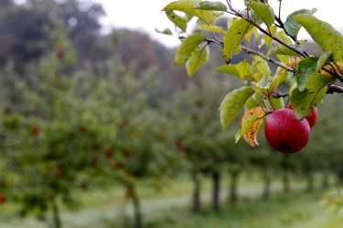 photosFeed-https://www.onpiste.com/media/uploads/destinations/402/f1d66282-da07-400c-8187-28a669646a9f