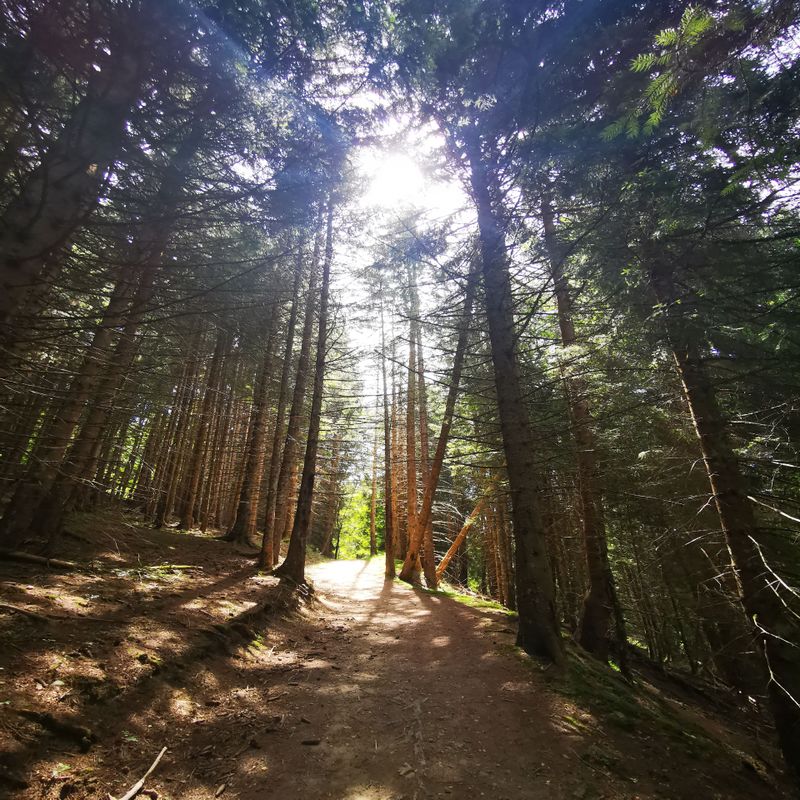 photosFeed-https://www.onpiste.com/media/uploads/destinations/417/1ef9a647-9789-4d6b-826a-108d552cf2e3