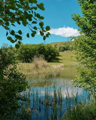 Lac du Loup