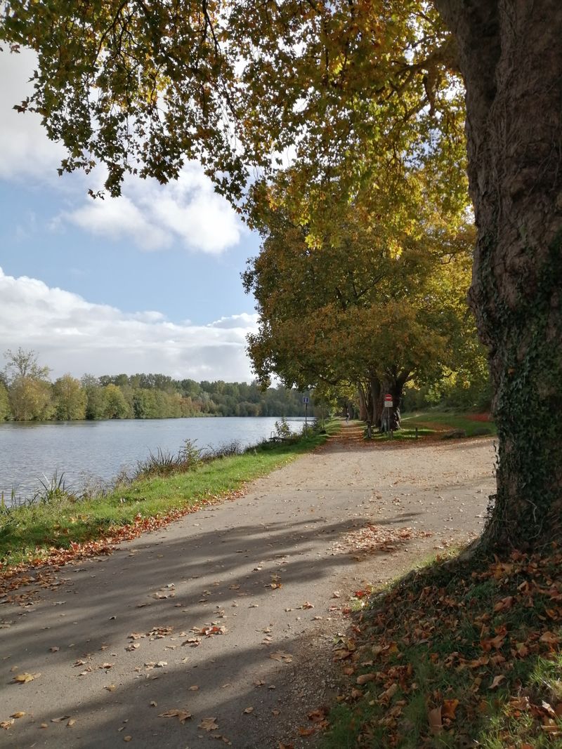 Sous les Frondaisons - disabled sports info