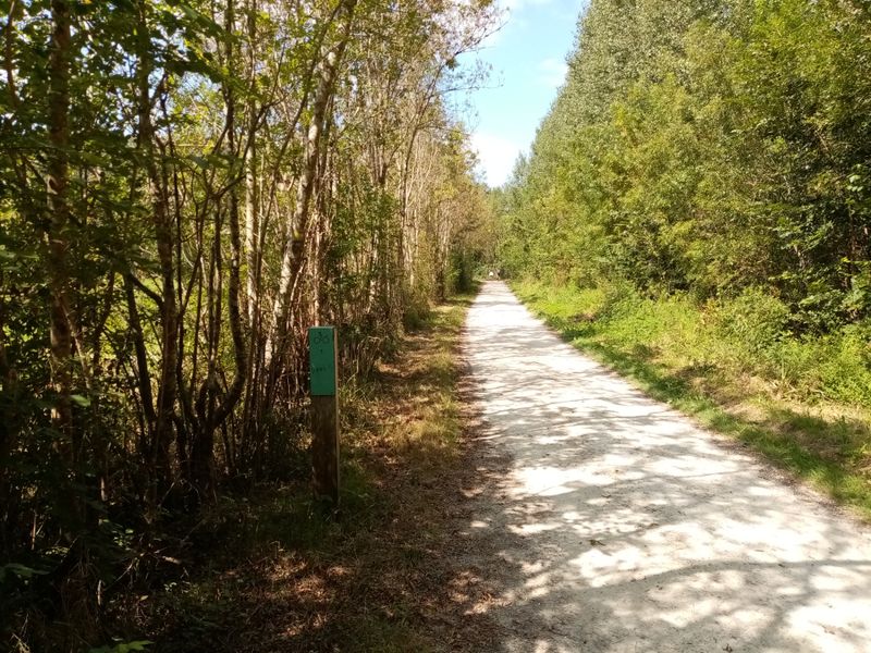Le Marais Sauvage