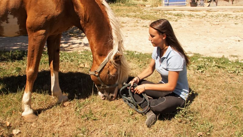 Relais Equestre Equinoxe