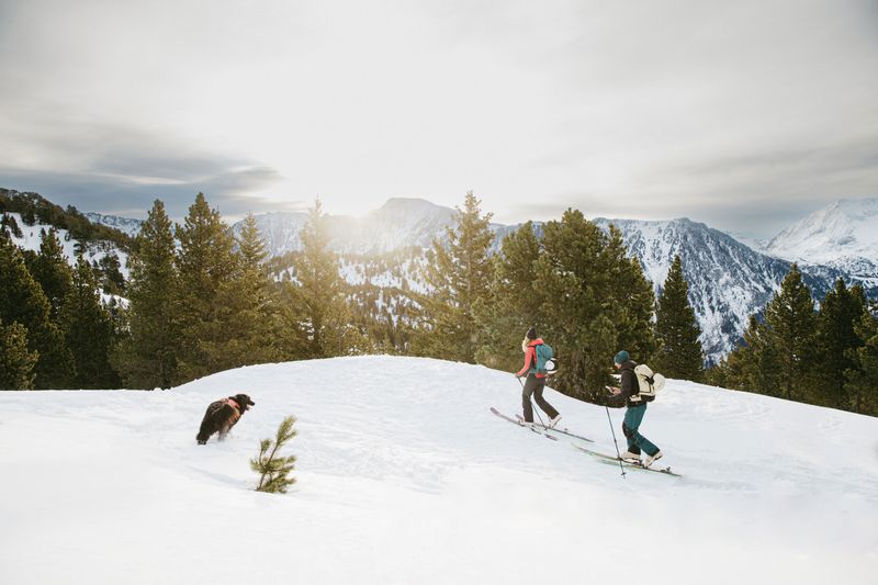 Liaison d'Accès Hors Piste depuis Casserousse