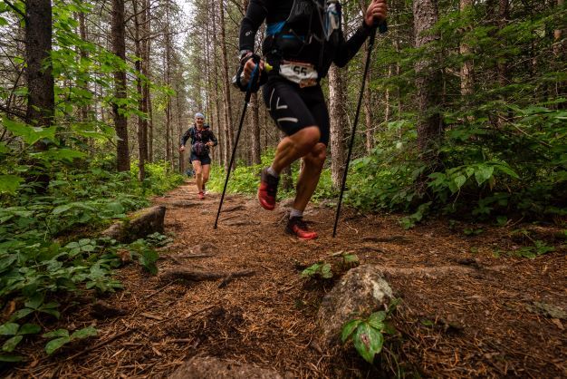 Loup solitaire Harricana - 20km