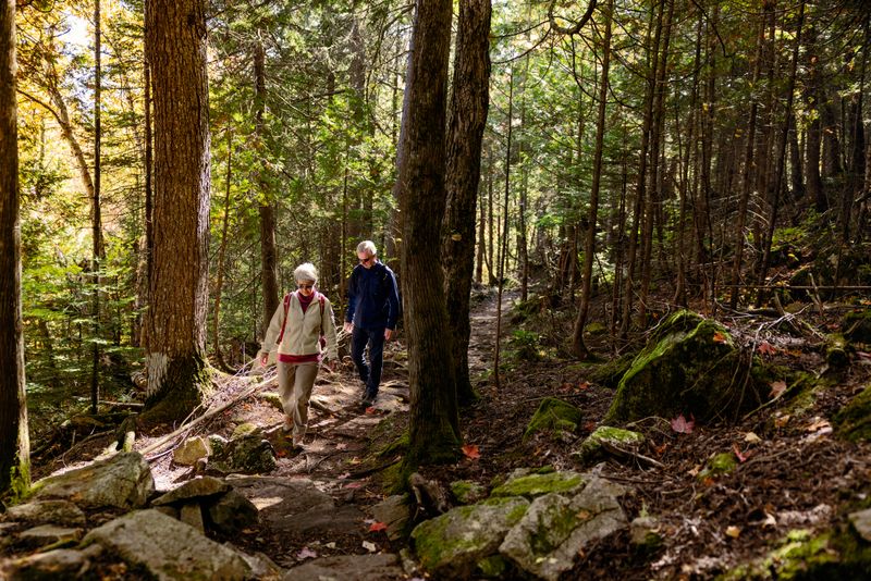 Le Forestier