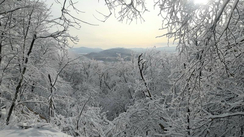 Parc des Sommets - Sommets Monts Bernard et Horizon