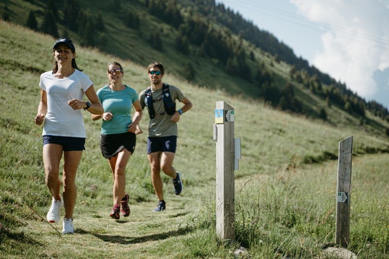 La montée de l’Alpe