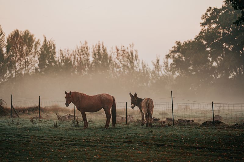 photosFeed-https://www.onpiste.com/media/uploads/destinations/461/8c8d9f6a-b082-4c06-b9ab-eb871e08461e