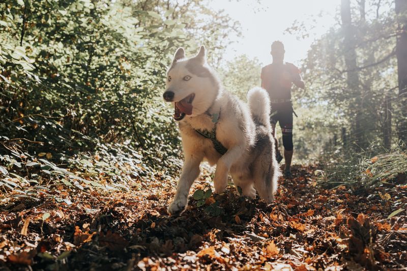 photosFeed-https://www.onpiste.com/media/uploads/destinations/461/ea179d03-bd21-4de1-bbab-40dd8ac88c39