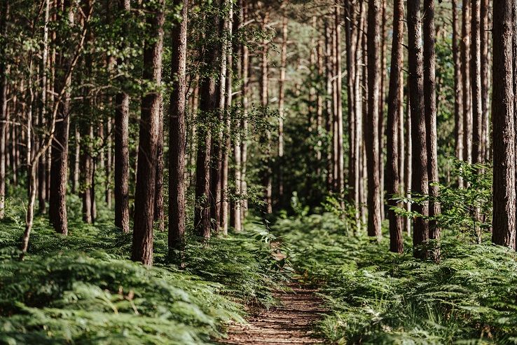 photosFeed-https://www.onpiste.com/media/uploads/destinations/461/f6e63e8b-945a-4307-8319-b41b84342e89