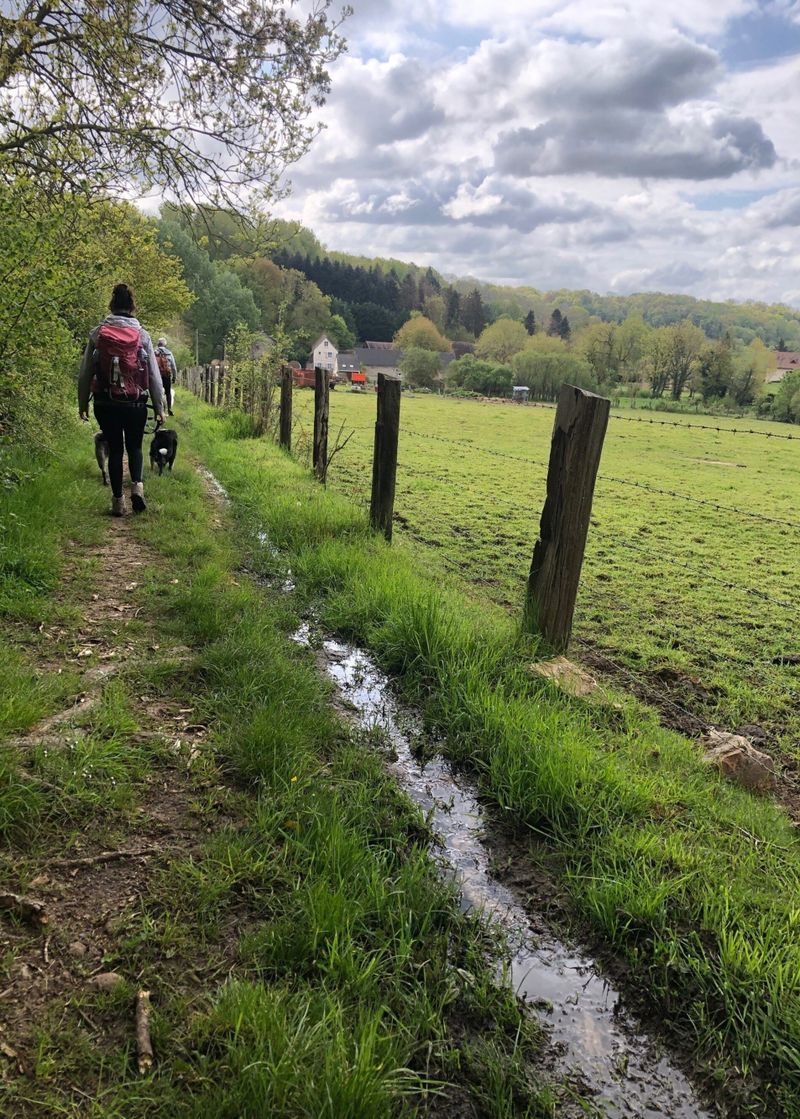 photosFeed-https://www.onpiste.com/media/uploads/destinations/461/fa25b05a-158e-4c01-bf4a-4e50f53498e0