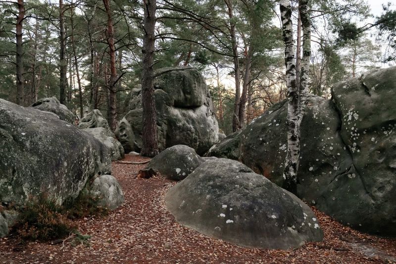 photosFeed-https://www.onpiste.com/media/uploads/destinations/474/d721a014-ad5d-48bc-95e2-ddd9a259d6a7