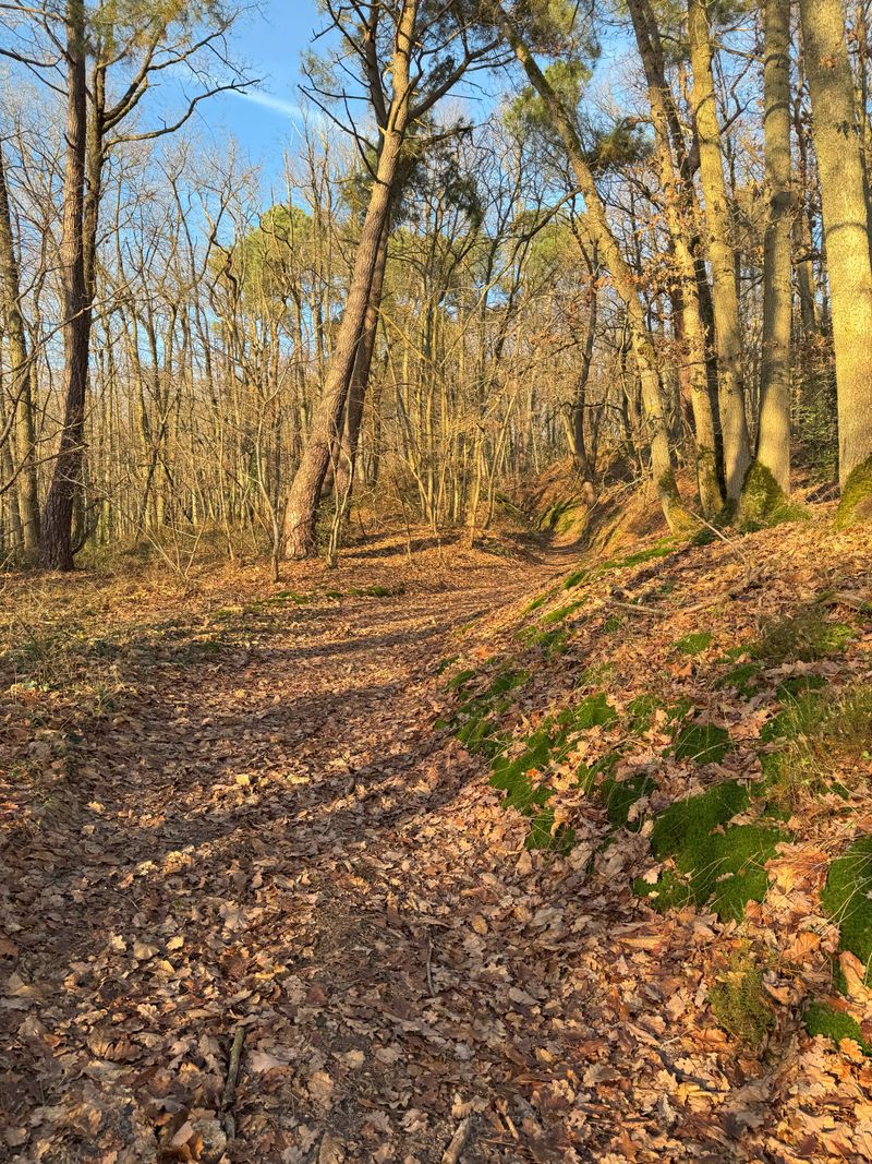 photosFeed-https://www.onpiste.com/media/uploads/destinations/477/377a0165-012e-4d2d-97d0-fd4c3d90b589