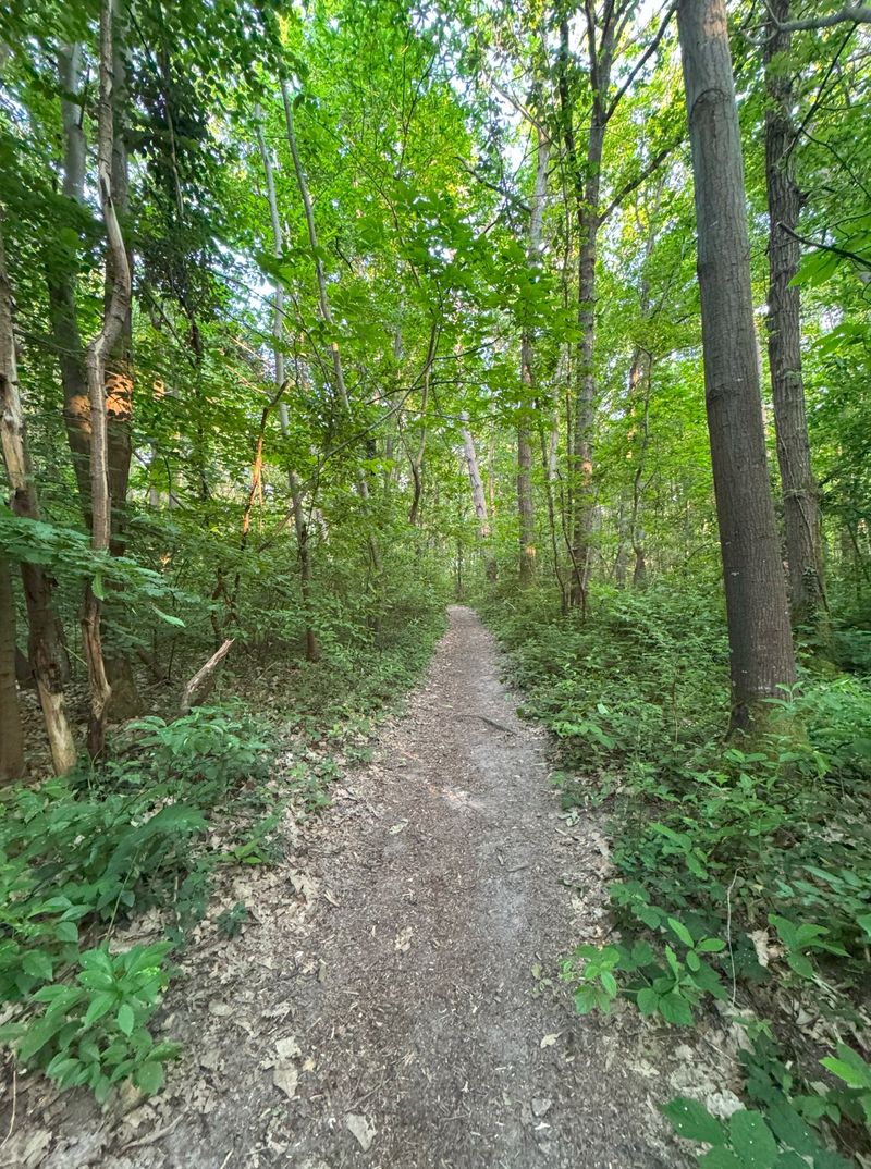 photosFeed-https://www.onpiste.com/media/uploads/destinations/477/3b23a9d5-b0ea-4e4b-b582-b8c774b0c22f