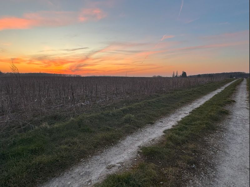 photosFeed-https://www.onpiste.com/media/uploads/destinations/477/90005b0d-4464-4d5f-a38a-1a5010bec854