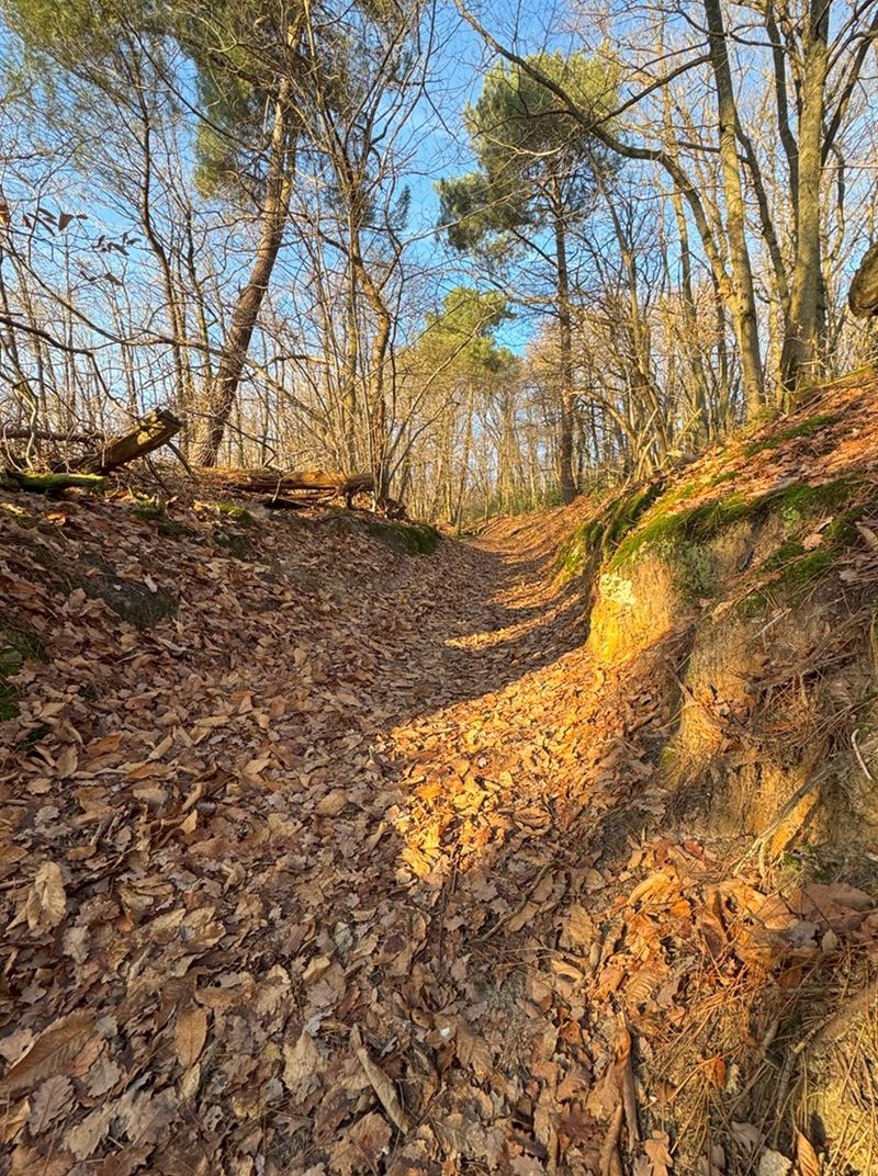 photosFeed-https://www.onpiste.com/media/uploads/destinations/477/a77dbb15-9509-42ca-a2a5-fbae7952c34b