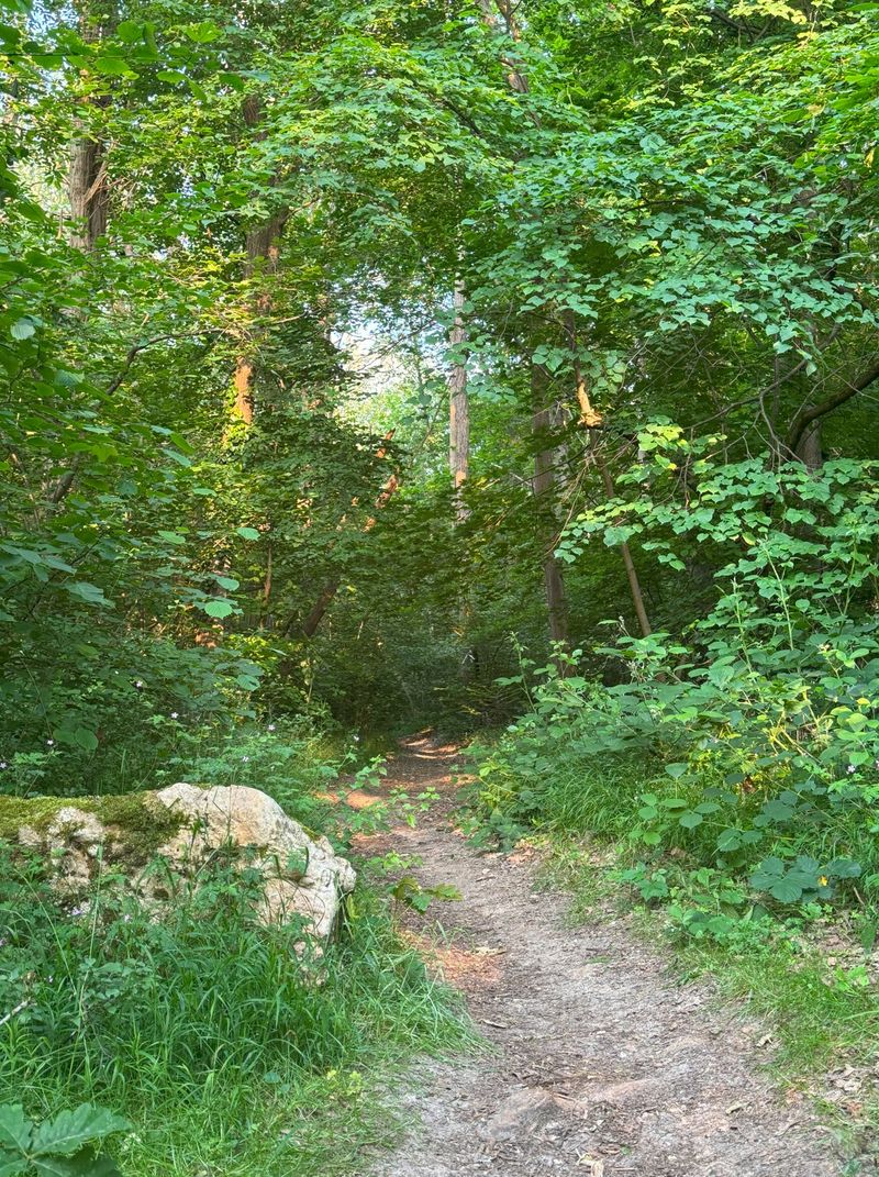 photosFeed-https://www.onpiste.com/media/uploads/destinations/477/aa8cd6d1-7f9f-4575-8baf-090e8b569746