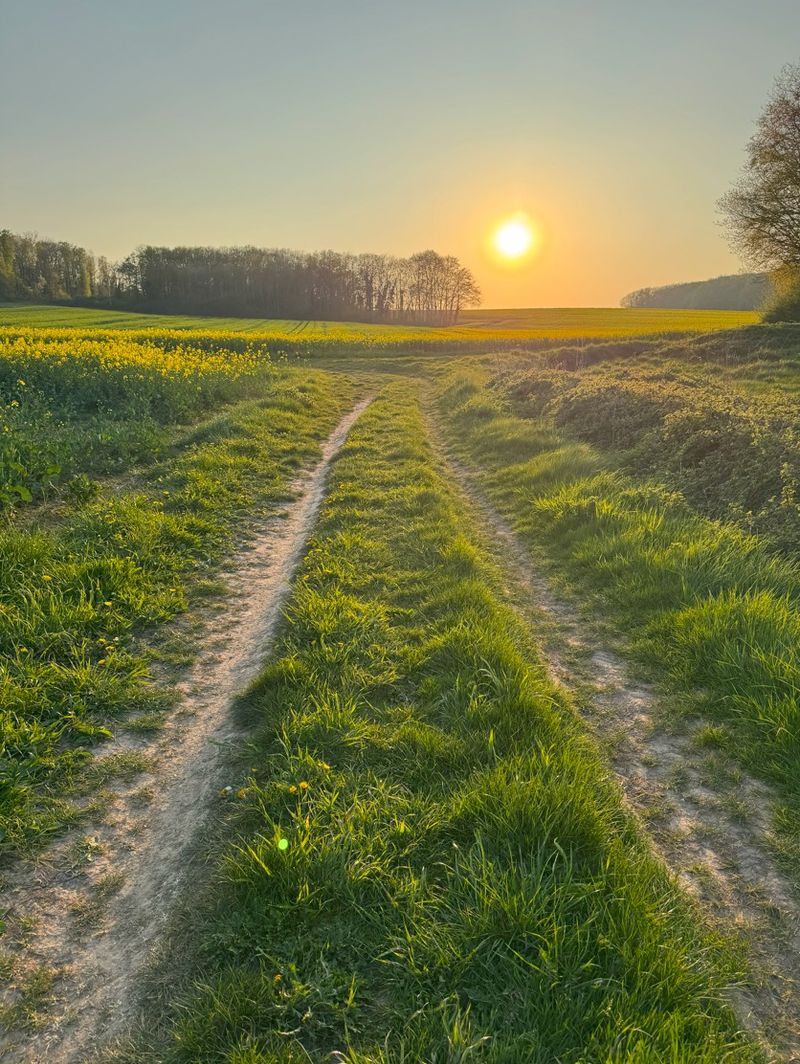 photosFeed-https://www.onpiste.com/media/uploads/destinations/477/b3fb412f-54ba-4026-8508-8967b8506e88