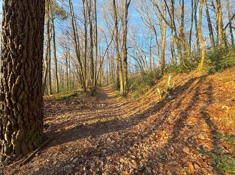 photosFeed-https://www.onpiste.com/media/uploads/destinations/477/c0e51cd4-6929-47dd-844e-7ea4b0b9b1b1