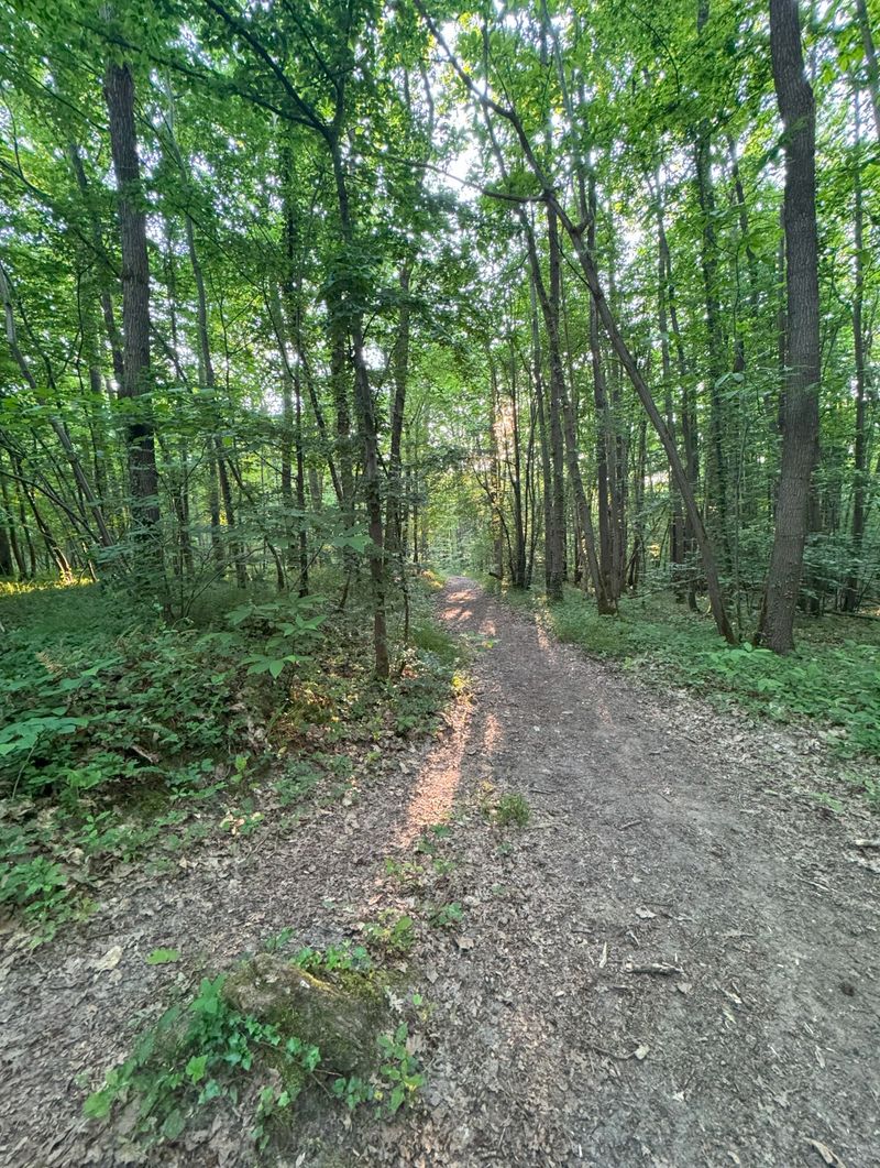 photosFeed-https://www.onpiste.com/media/uploads/destinations/477/e7d01b25-cb97-43f0-bda0-ffa3aeafcb59