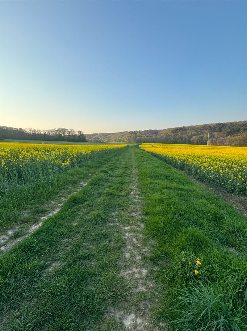 photosFeed-https://www.onpiste.com/media/uploads/destinations/477/f8c8706d-65f6-4c11-a631-d0582f478d6c
