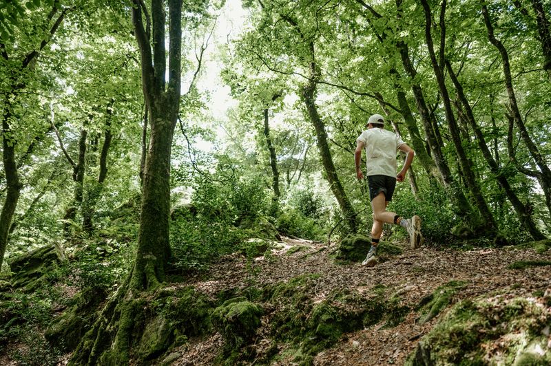 photosFeed-https://www.onpiste.com/media/uploads/destinations/480/6c59bdec-5f37-4ce8-ace6-fcec2616a5c0