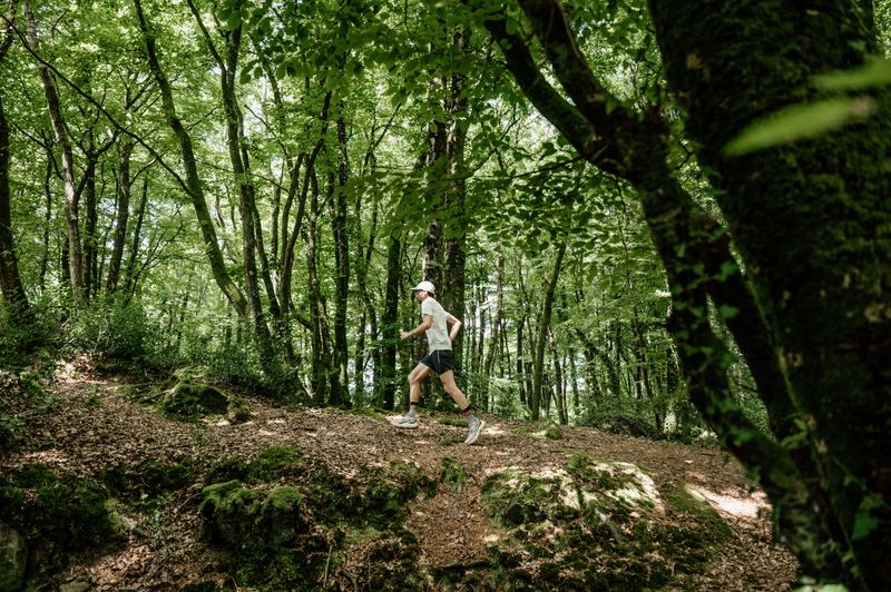 A travers le bocage