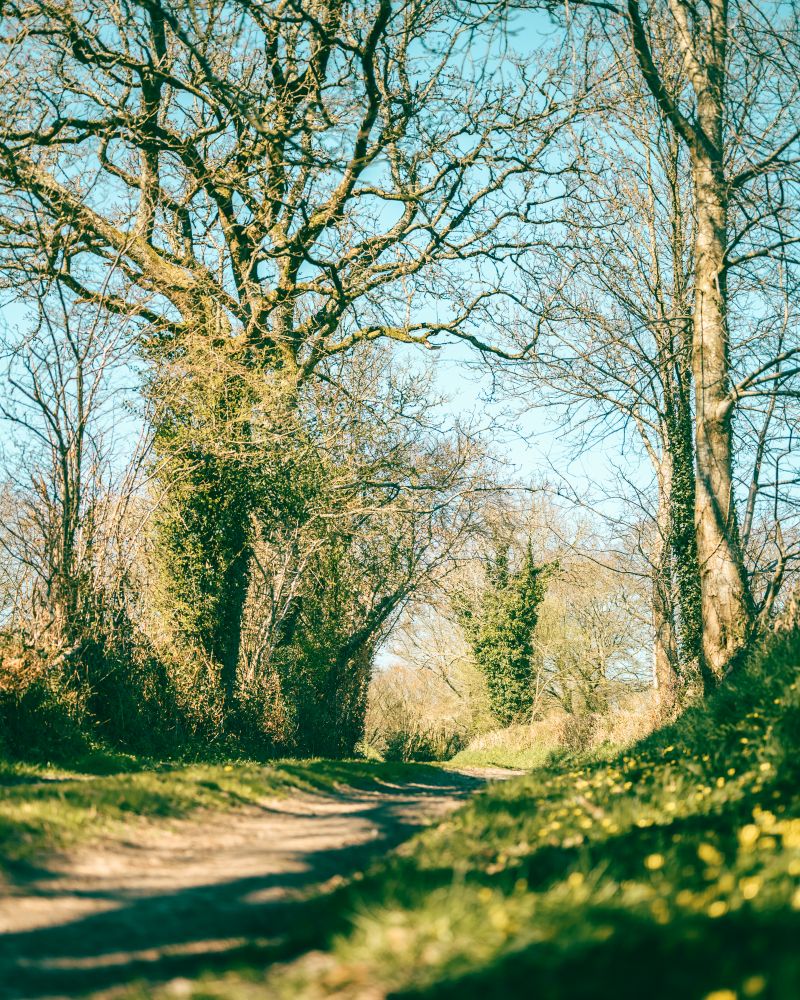 photosFeed-https://www.onpiste.com/media/uploads/destinations/480/b963e5dd-ed0a-4b76-85d1-5d380d04c78d