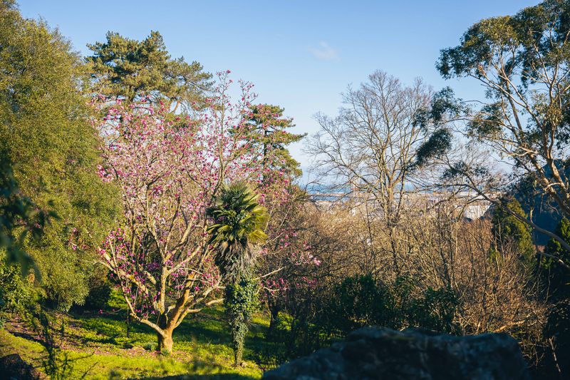 photosFeed-https://www.onpiste.com/media/uploads/destinations/480/d04af63b-235b-4a33-aae4-da2670aa2635