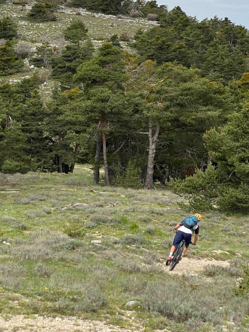 Trail Center