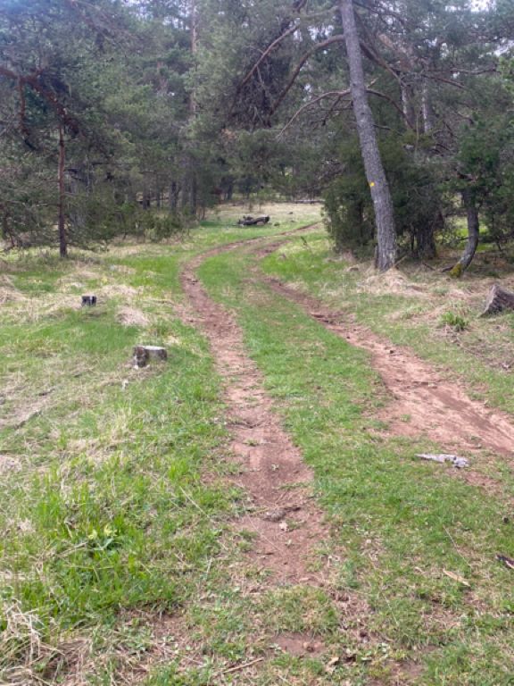 Parcours Découverte Trail - Gréolières 1400