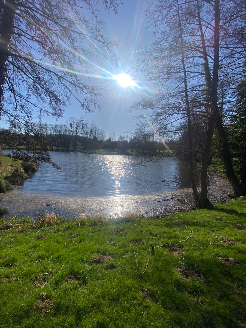 De la colline de la Revanche à la forêt de Maurepas