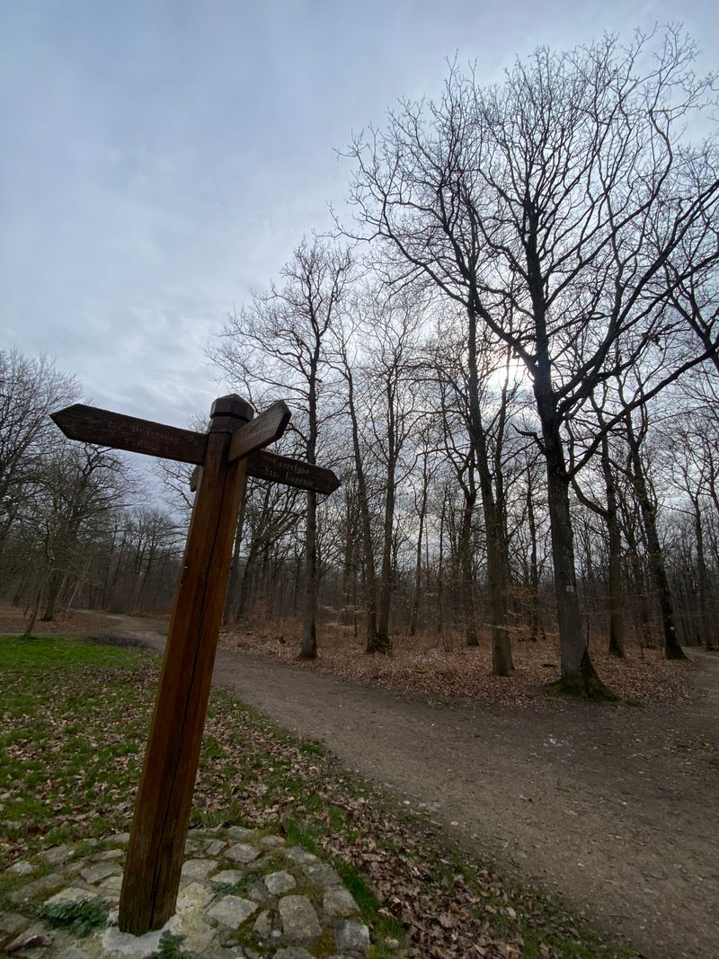 Forêt de Ste Apolline et Ile de loisirs