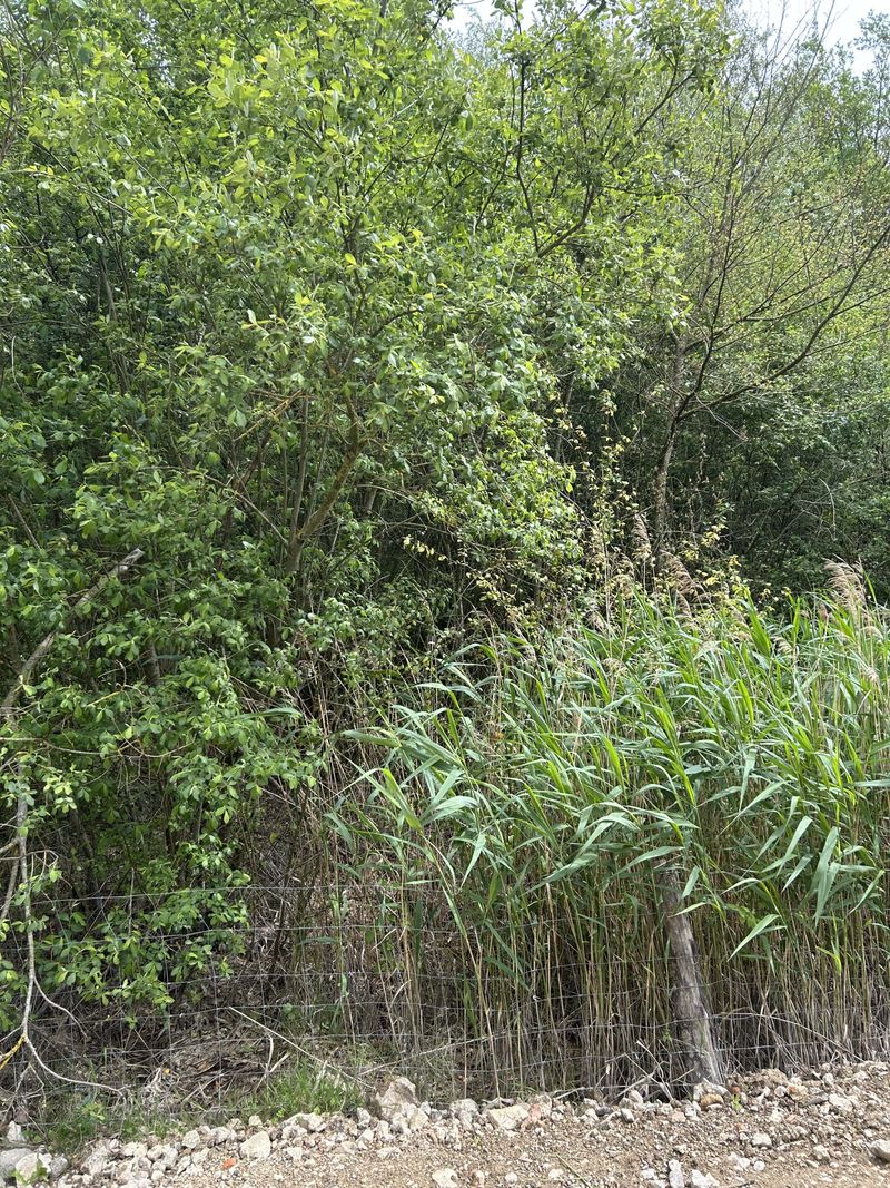 De la colline de la Revanche à l'île de loisirs