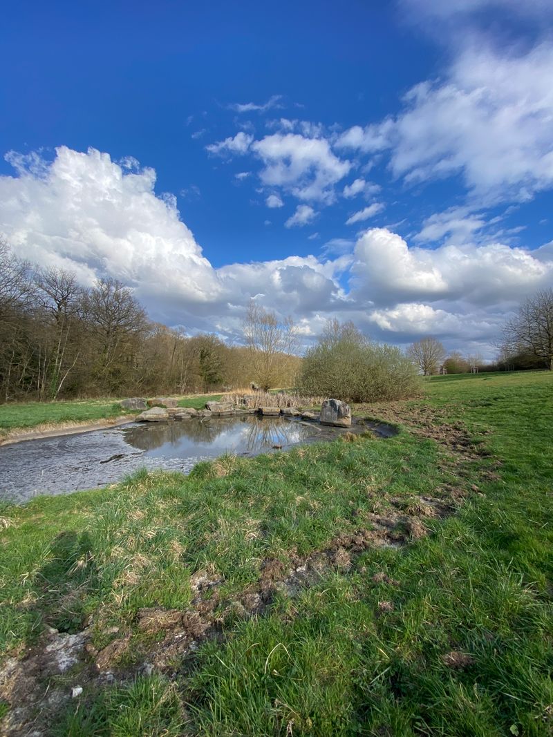 Les étangs de la Minière