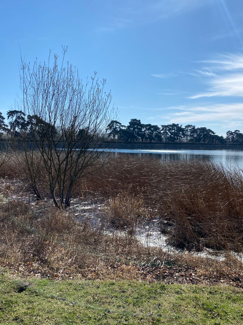 Tour de l'étang de St Quentin depuis la colline