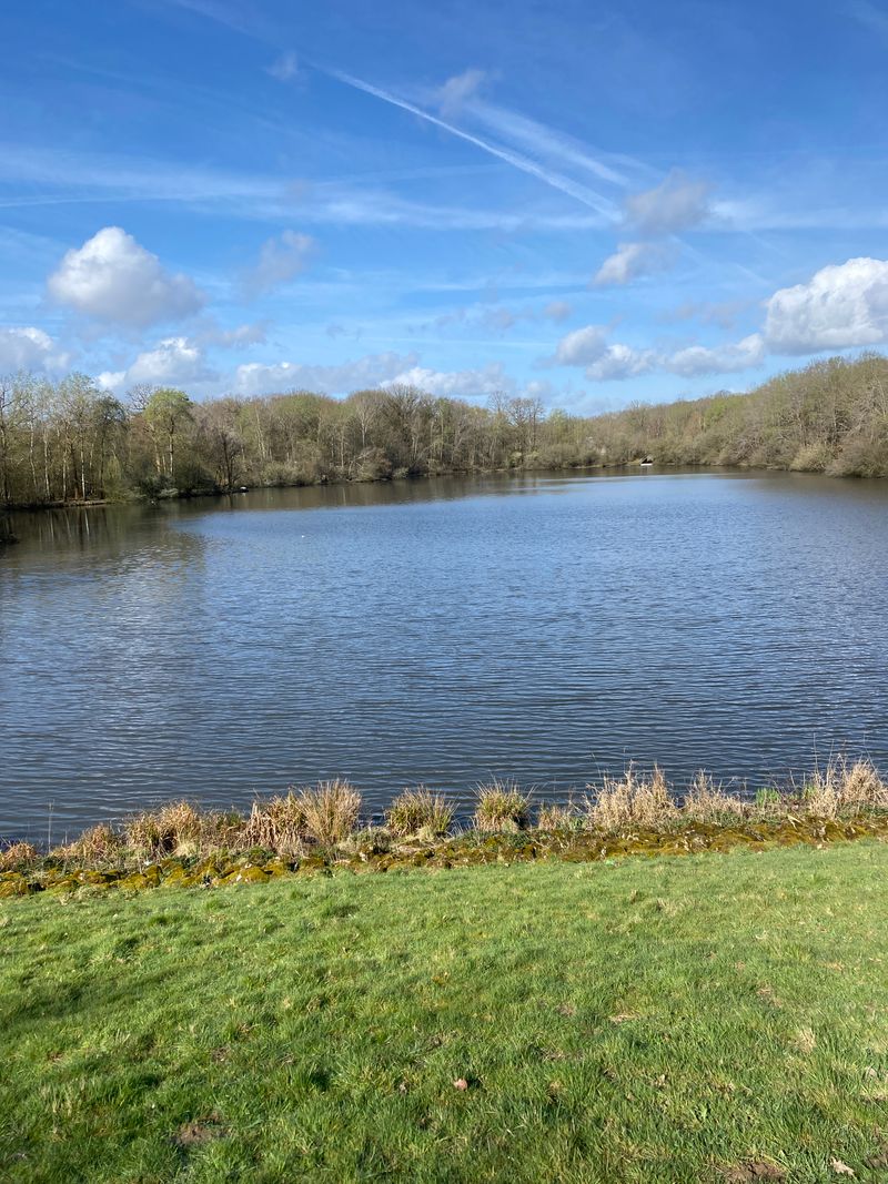 La forêt de Port Royal et son Abbaye