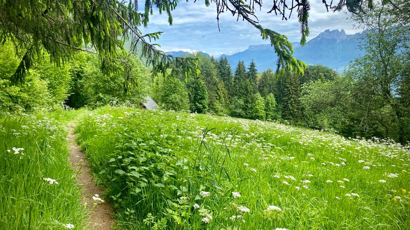 photosFeed-https://www.onpiste.com/media/uploads/destinations/496/b4c6b47a-3a64-42b5-8c68-c6b85bb63b89