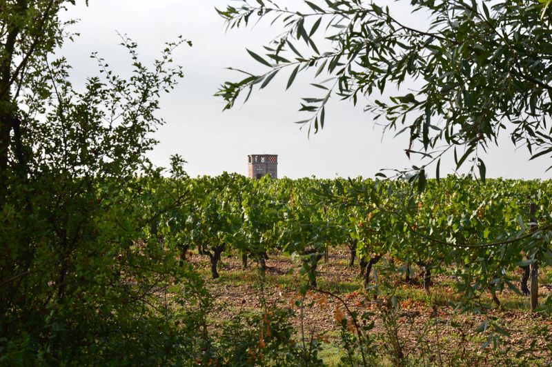 photosFeed-https://www.onpiste.com/media/uploads/destinations/499/8d291446-110f-4fff-a3dc-a019dbed5402