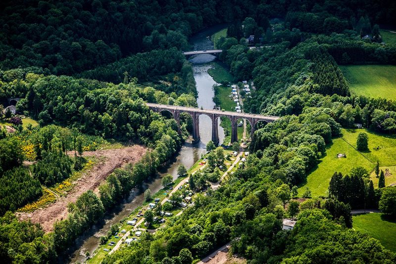 Bois des Conques